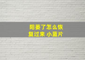 阳萎了怎么恢复过来 小蓝片